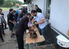 IMG 3856